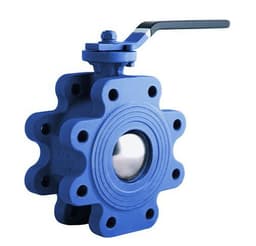 Check Valve - 1