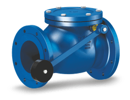Check Valve - 2