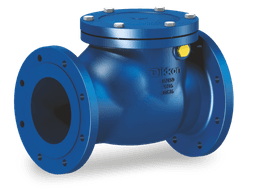 Check Valve - 1